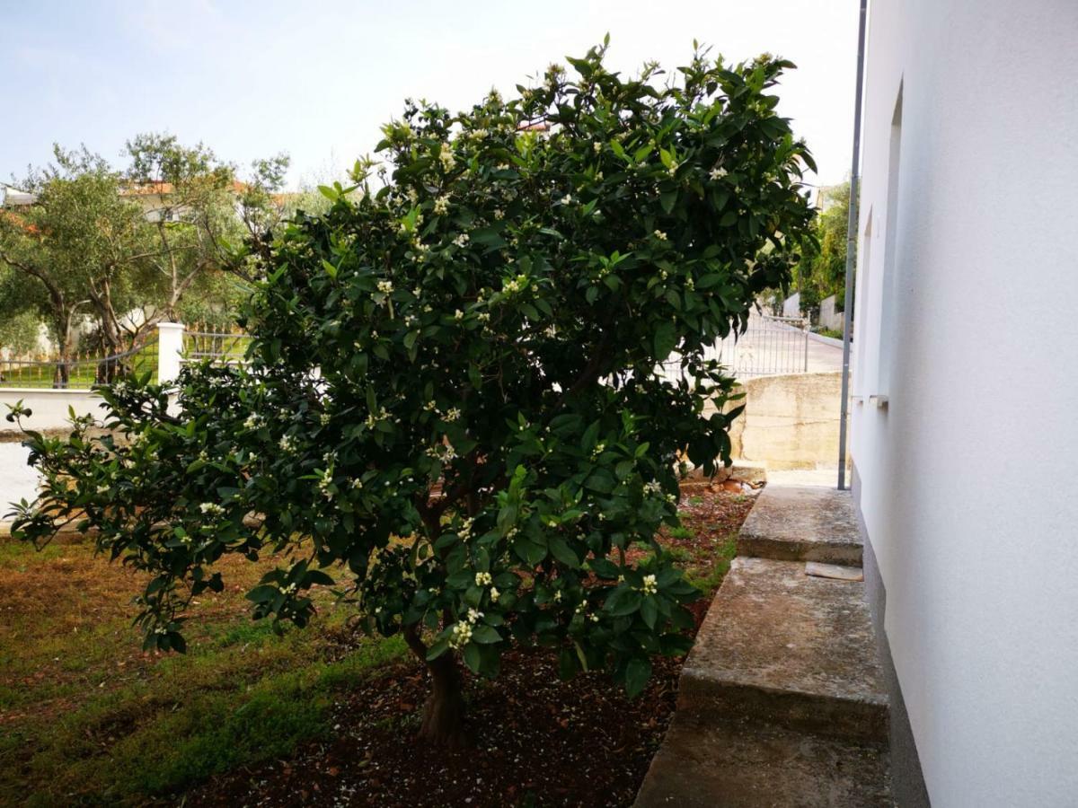 Apartment Katarina Trogir Exterior photo